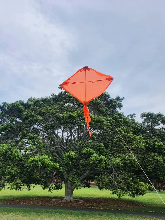 كيفية تحويل كيس نفايات إلى طائرة ورقية