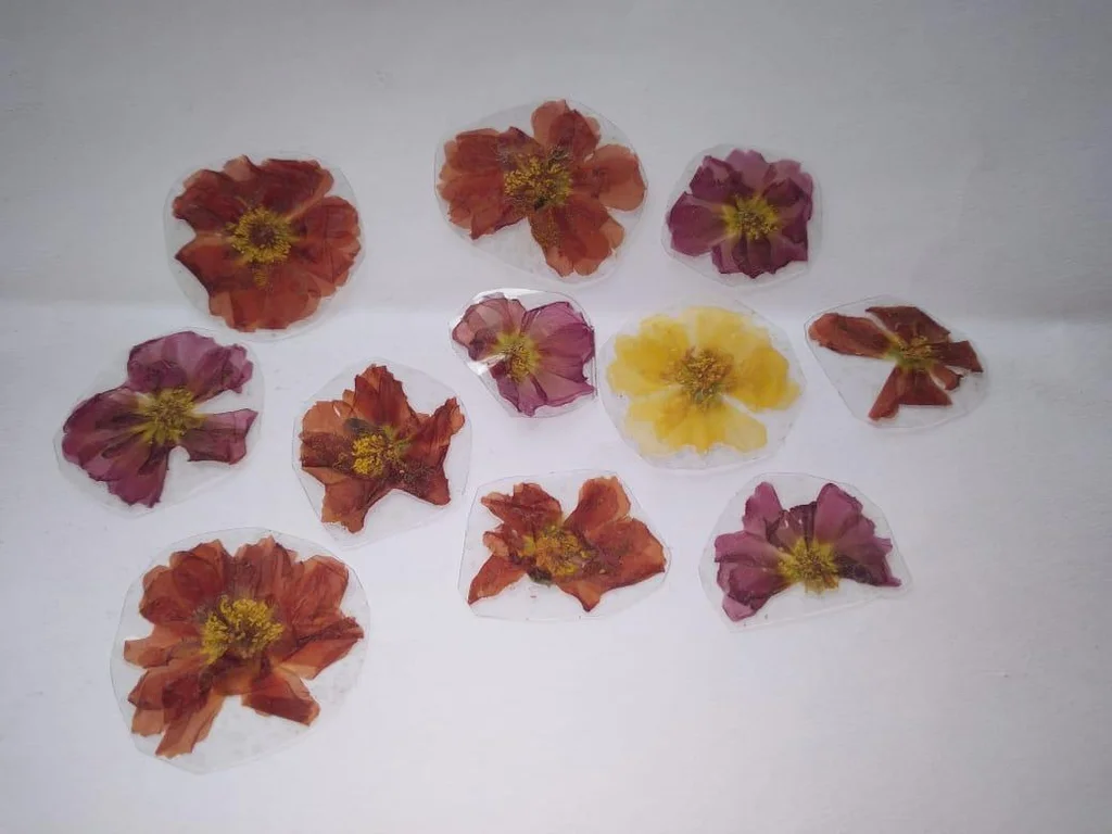 احصل على زهور مجففة بالضغط في غضون 3 أيام فقط