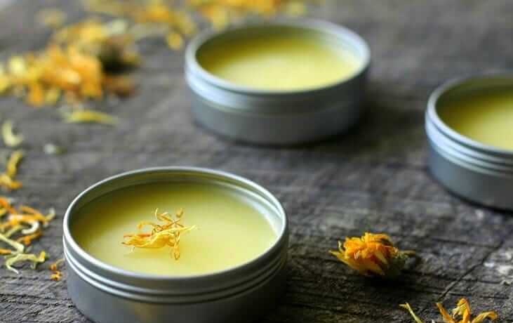 اصنع بنفسك مرهم الآذريون الخاص بك: مثالي للشفاء والعناية في الهواء الطلق