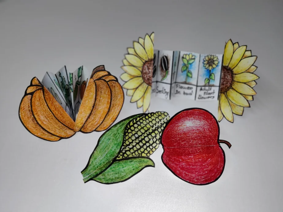 متعة الفواكه: استكشف دورة حياة الفاكهة عبر فن طي الورق (الأوريغامي) والألوان