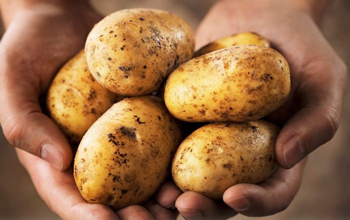 أهم الفوائد العامة في البطاطس