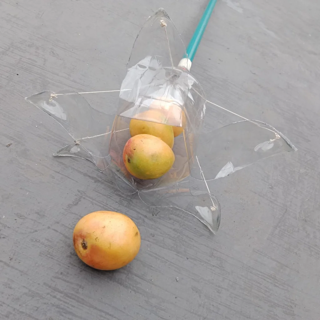 أداة لقطف ثمار الفاكهة مصنوعة في المنزل